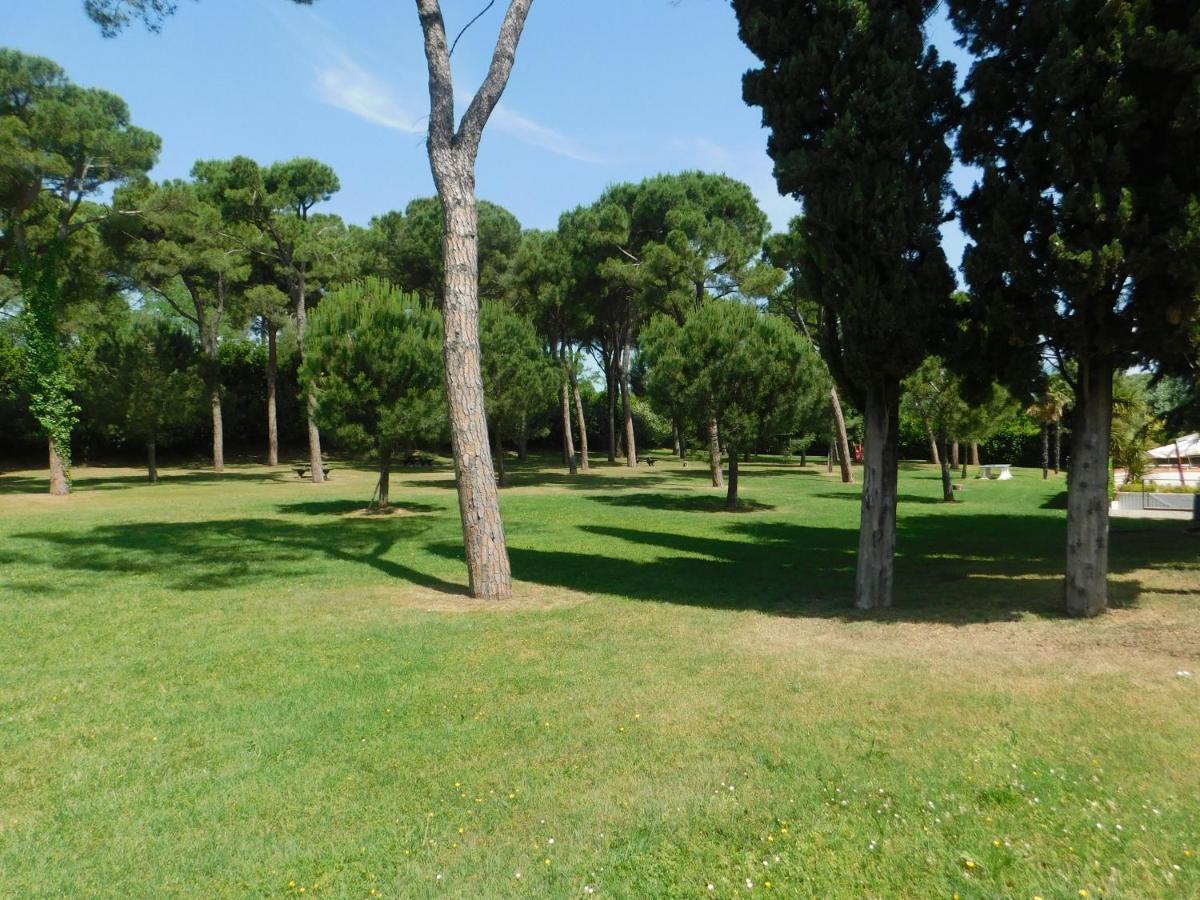 Lato Soleggiato @Gardazzurro Apartamento Padenghe sul Garda Exterior foto