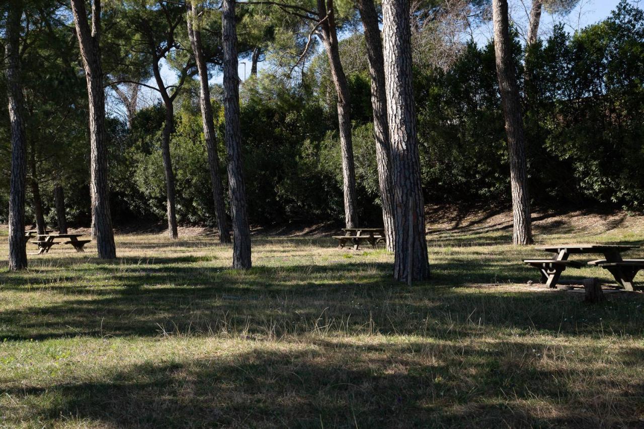 Lato Soleggiato @Gardazzurro Apartamento Padenghe sul Garda Exterior foto